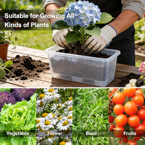 Oliz Window Box Planter 6 Packs, 13.8 Inches Rectangle Flower Pots with Drainage Holes & Trays, Pots for Vegetables, Herbs, Flowers, Garden Windowsill Balcony (Translucent White) - color: Translucent White