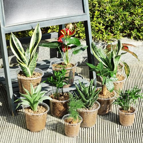JNYONG 120 Pack 4 Inch Clear Nursery Pots with Drainage Hole | Seed Starting Pots Transparent Plastic Plant Pots for Plants Transparency - size: 4 Inch 120 pack