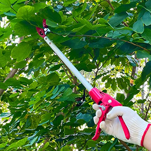Tree Trimmer, 2 Foot Pole Pruner, Long Reach Pruning Shears, Cut and Hold Garden Clippers, Aluminum Lightweight Handle Fruit Picker, Branch Bypass Loppers