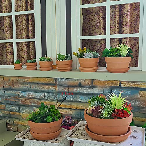 Yishang Large Terracotta Pots with Saucer/Tray for Succulent - 8 Inch Cactus Plant Containers Indoor Garden Bonsai Pots with Drainage Hole - Set of 2, Unglazed Clay Ceramic Pottery Planter (Pack of 2) - size: 8 Inches (Pack of 2)