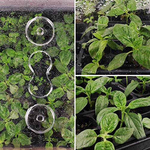 SOLIGT Thick Plastic 3-Set Strong Seed Starter Trays with 5" Humidity Domes | for Seed Starting, Germination, Seedling Propagation & Plant Growing, Holds 144 Cells in Total - size: 3 Set