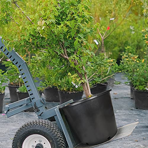 Planter Nursery Pots 6.3 Gallon Pots for Plants, Injection Molded Plastic Nursery Pots, Plant Container 6.3 Gal 10-Pack - color: Black, size: Round-14inch-10pcs