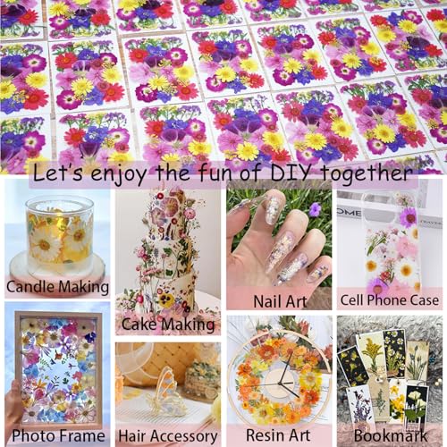 190Pcs Dried Pressed Flowers for Craft,Xinxinran Dry Flower Kit for Resin - color: Bright Color