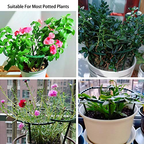 Belit 8 Pack Small Plant Support Plant Stakes, Garden Flowers Green Plant Support Ring, Planter Support Ring for Schlumbergera, Clivia, Vegetables, 5.5" Wide x 9.8" High - size: 5.5" x 9.8"
