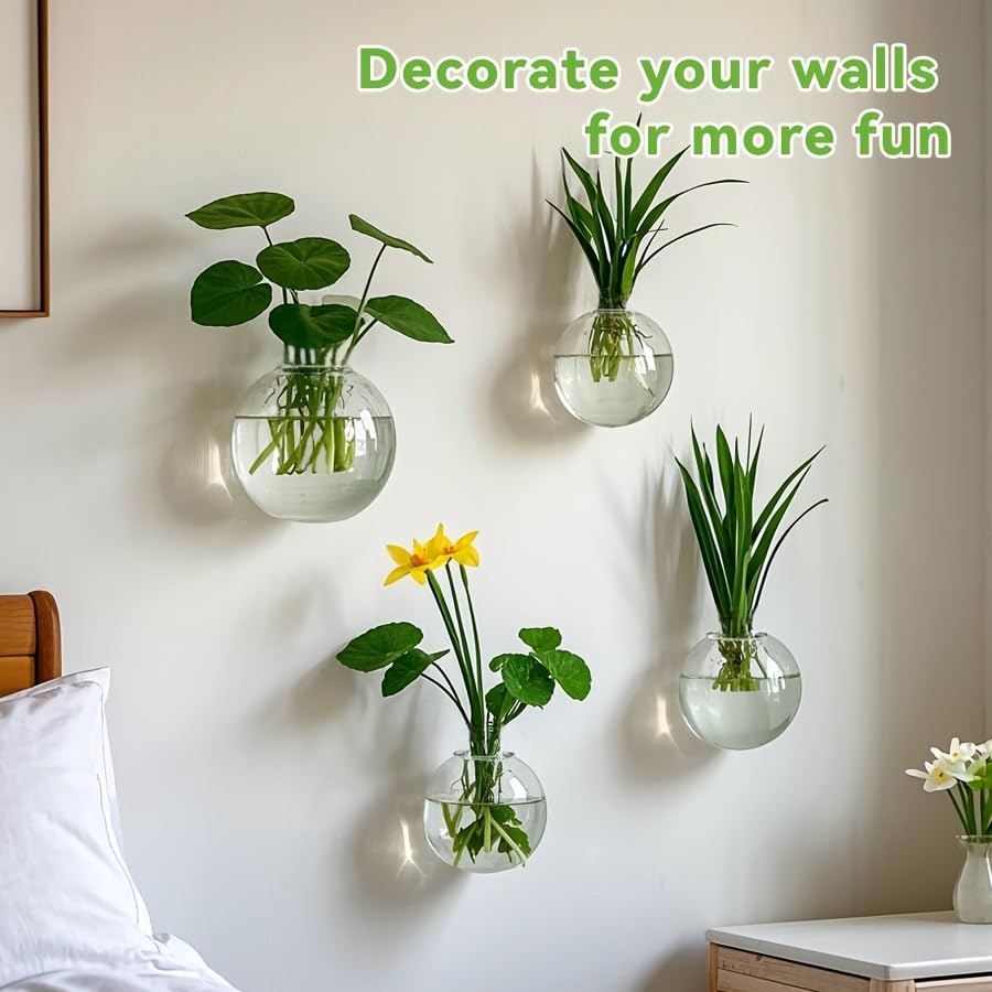 Transparent Glass, Wall Hanging, Hydroponic Terrarium, Multiple Sizes, Vase