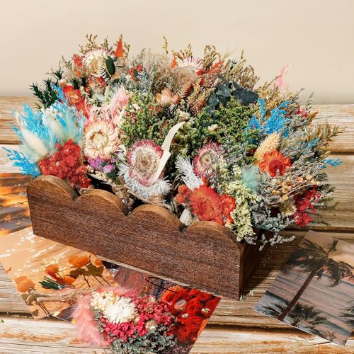 Layhit 24 Pcs Mini Dried Flower Bouquets Boho for Vase, Gerbera Daisy - style: Gerbera Daisy
