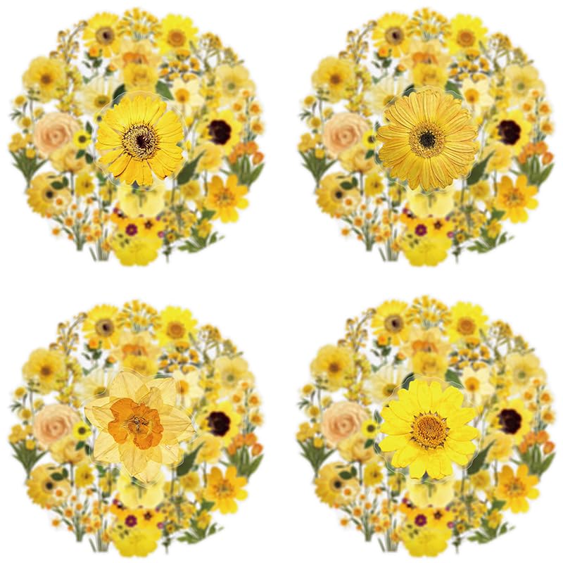 50PCS Pressed Flower Transparent Stickers - style: Pressed Flower
