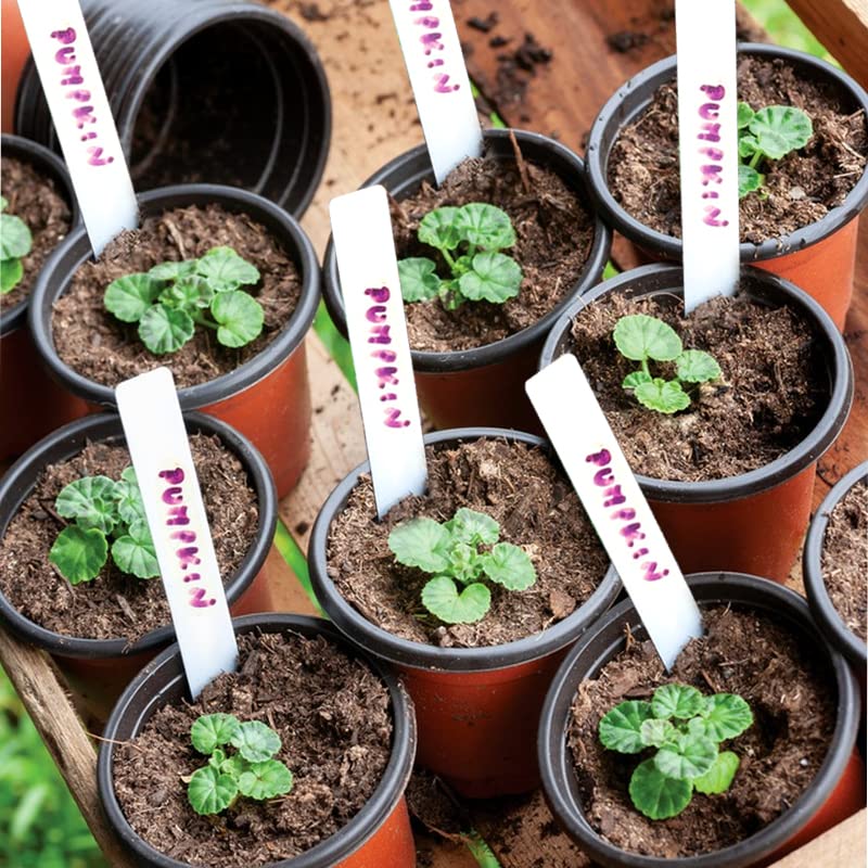 TDHDIKE 4" Small Plastic Plant Nursery Pots 50Pcs with Labels - size: 4inch50