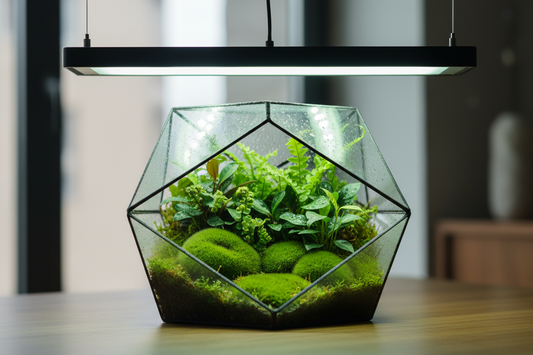 The Light Spectrum Myth: Why Standard LEDs Are Starving Your Miniature Terrarium Plants