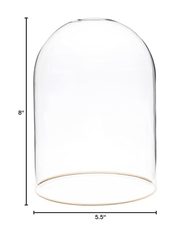 Plymor 5.5" x 8" Glass Display Dome Cloche with Gold Rim (no Base) - size: 5.5" x 8"