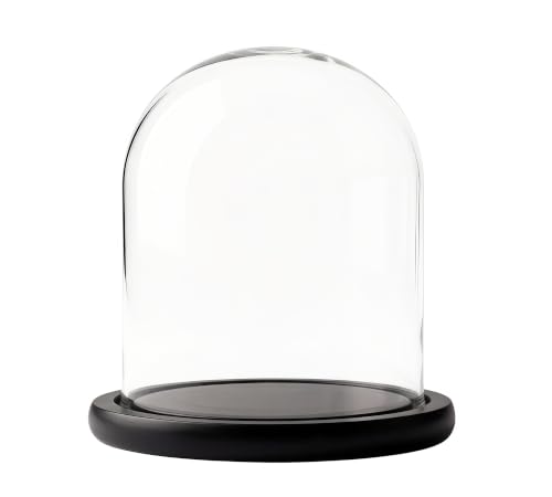 Glass Cloche Bell Jar Display Dome 6x7 Inch, Clear High Borosilicate Glass Bell Jar with Black Wooden Base, Dustproof Display Case for Plants Candles Jewelry Home Wedding Decor - color: Black