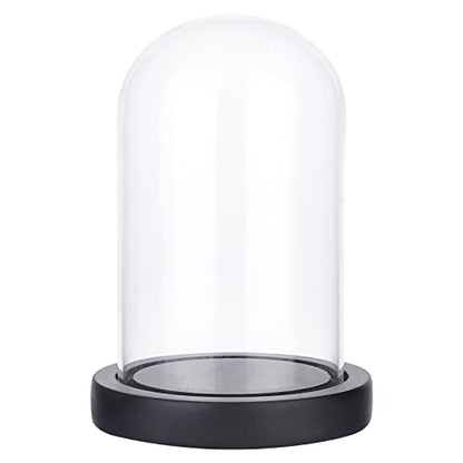 NBEADS Eternal Flower Glass Display Dome Cloche, Glass Display with Wood Pedestal Bell Jar Cloche for Valentine's Day Mother's Day Flower Decorations Crafts, Black Base