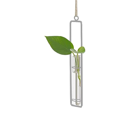 Hanging Glass Planter - Hydroponic Plant Propagation Test Tube Wall Hanging Terrariums Clear Transparent Glass Flower Vase for Indoor Outdoor Home Office Wedding Décor (1*Medium Size (White)) - color: 1*medium Size (White)