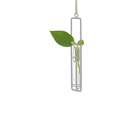 Hanging Glass Planter - Hydroponic Plant Propagation Test Tube Wall Hanging Terrariums Clear Transparent Glass Flower Vase for Indoor Outdoor Home Office Wedding Décor (1*Small Size (White)) - color: 1*small Size (White)