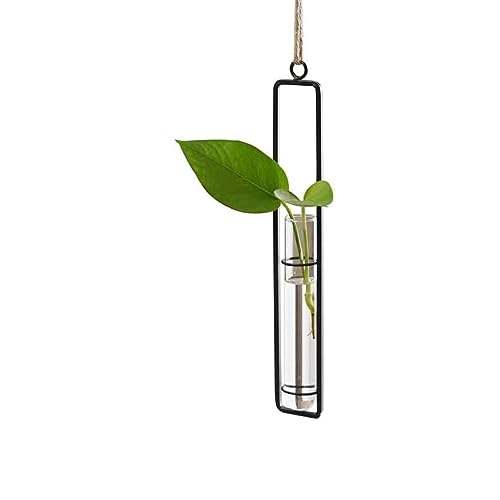 Hanging Glass Planter - Hydroponic Plant Propagation Test Tube Wall Hanging Terrariums Clear Transparent Glass Flower Vase for Indoor Outdoor Home Office Wedding Décor (1*Medium Size (Black)) - color: 1*medium Size (Black)
