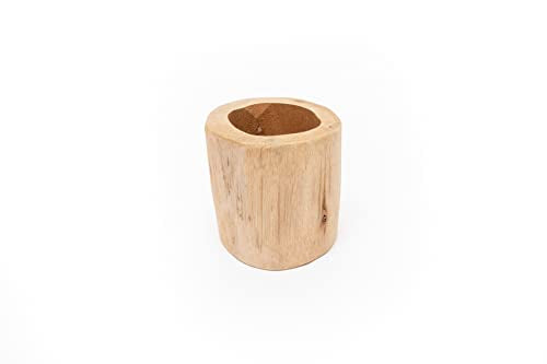 Air Plant Shop Driftwood Container with Custom Air Plant - Succulents - Live Tillandsia - Easy Care Indoor and Outdoor House Plants (Caput Medusae) - style: Caput Medusae