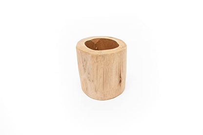 Air Plant Shop Driftwood Container with Custom Air Plant - Succulents - Live Tillandsia - Easy Care Indoor and Outdoor House Plants (Caput Medusae) - style: Caput Medusae