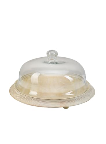 Serene Spaces Living Curio Glass Dome with Natural Wooden Base, Airplants, Flower Blooms, Accessories, Photos, Candles, Dessert Display, Home, Office Decor, Gift Idea - 12" Diameter & 6" Tall - color: Extra Large, Single