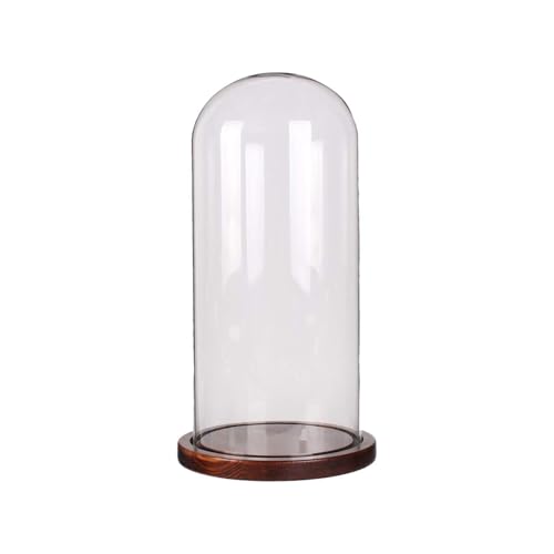 Glass Cloche Dome with Coffee Wood Base - 4.7" x 11" Display Case for Terrariums, Collectibles & Home Decor, Glass Dome Cloche with Natural Wood Base, Bell Jar Display Cover