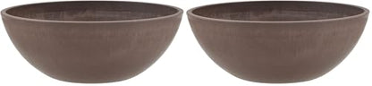 PSW Pot Collection Shallow Garden Bowl Planter for Succulents, Bonsai, Fairy Gardens, Herbs, 8-inch, Chocolate (Pack of 2) - color: Chocolate, size: 8 Inch (Pack of 2)