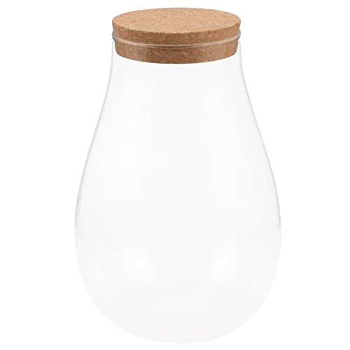 Cabilock DIY Betta Bottle Terrarium Container Glass Terrarium with Wooden Cork 7.87 X 5.11 X 5.11 in Plant Display for Moss Micro Landscape Indoor Home Office Decor