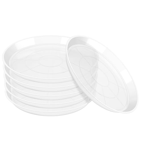 OUPSAUI 3 4 6 8 10 12 14 16 Inch Plant Saucer Pot Tray, 6 Pack Clear Plant Saucers for Indoors and Outdoors, Large Plastic Dish Suacer Water Drip Tray for Potted Plants Flowers (8 Inches) - size: 8 Inches