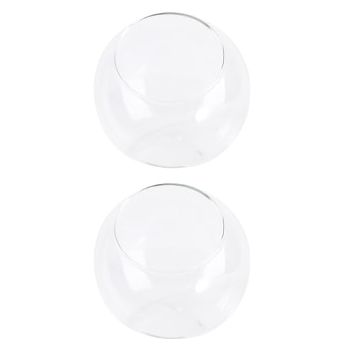 GANAZONO 2 Pcs Mini Landscape Bowl Terrarium Container 11.41 Inch Clear Round Micro Landscape Decorative Vase for Home Decor and Events - color: 2pcs 15cm