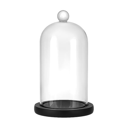 PH PandaHall Cloche Glass Dome Black Wooden Base Bell Jar Cloche Bottles Display Case Clear Glass Display Dome with Top Handle for Plants Flower Clay Succulents Antique Collectibles, 4.92x8.46inch - size: 4.92x8.46inch