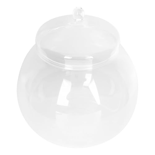 Yardwe Glass Terrarium with Lid 7.1 Inch Clear Plant Terrarium Jar for DIY Micro Landscape Indoor Ecological Bottle for Home and Office Decoration
