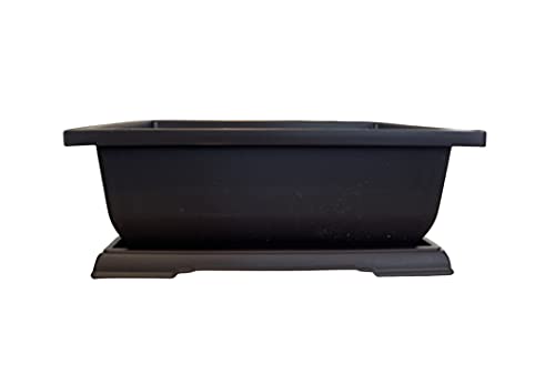 Large Bonsai Pot and Drip Tray - 11 inch Rectangle Container with Tray - Durable Container for Indoor and Outdoor Plants - Planter for Bonsai Trees, Indoor Plants & Herbs