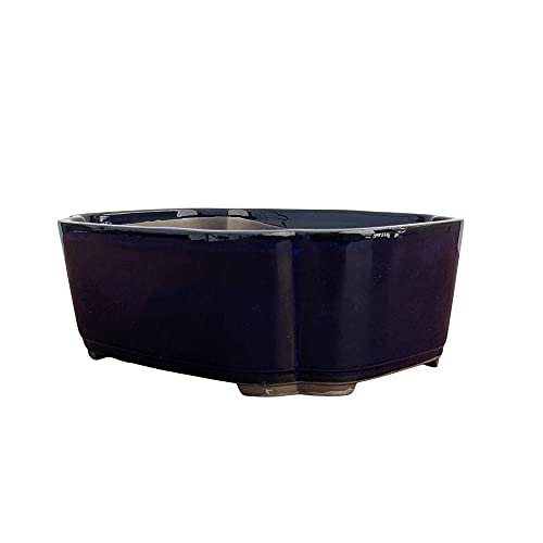 Bonsai Pots with Drainage Holes - Blue Glazed Eight-Inch Bonsai Planter - Used as Starter Bonsai Tree Pots or as Succulent Planters - with Drainage Mesh Screen and Wire