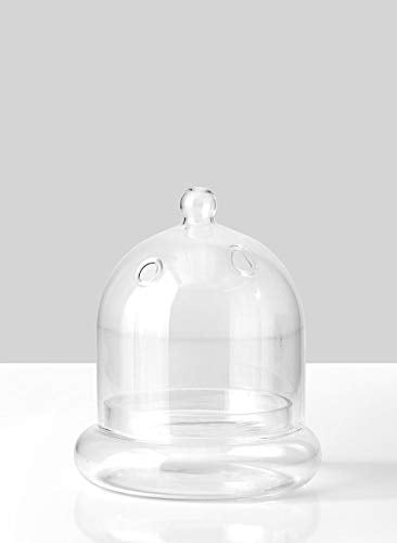 Serene Spaces Living Glass Cloche, Ideal as a Terrarium, Set of 2 - color: Set of Extra Small & Medium