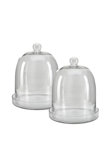 Serene Spaces Living Glass Cloche, Ideal as a Terrarium, Great to Hold Airplants, Flower Blooms, Accessories, Photos, Candles, Dessert Display, Home, Office Decor, 11" Diameter & 13" Tall, Set of 2 - size: Set of 2