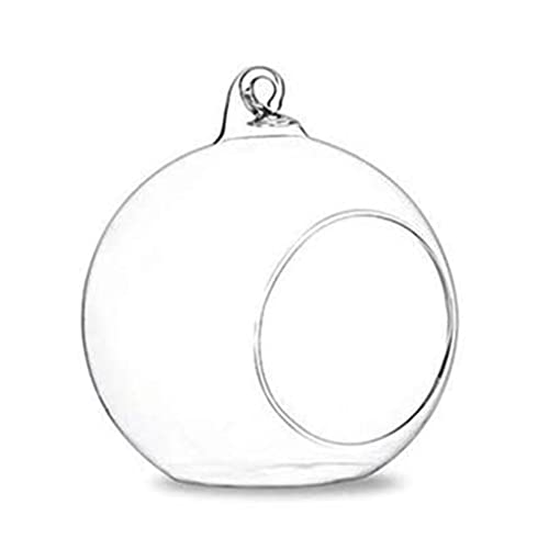 Hanging Glass Terrarium Globe Light Candle Holder Home Succulents Vase Hanger