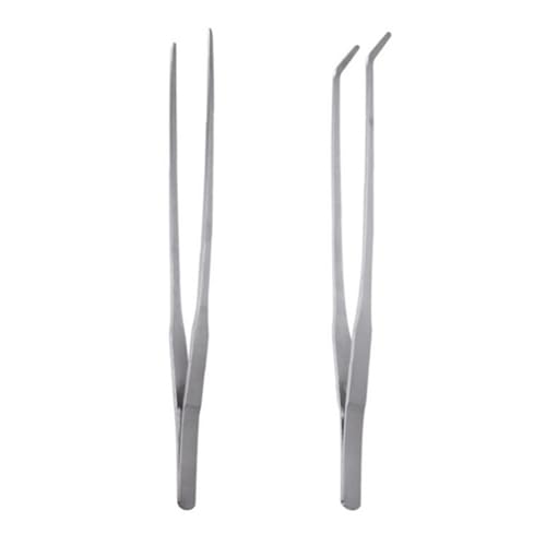 2PCS 10 Inch Long Handle Stainless Steel Straight and Curved Tweezers Pliers Aquatic Plant Tweezer Aquarium Tool for Gardening Feeding Stick Jewellery Making Crafts