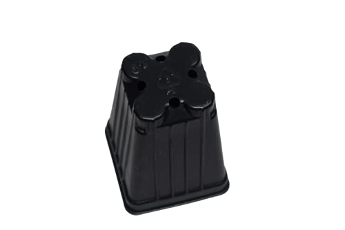 Small 2.2" Square Extra Deep Landmark Nursery Pots - Press Fit (100)