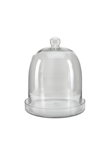 Serene Spaces Living Glass Cloche, Ideal as a Terrarium, Great to Hold Airplants, Flower Blooms, Accessories, Photos, Candles, Dessert Display, Home, Office Decor, Gift Idea, 11" Diameter & 13" Tall - size: Single