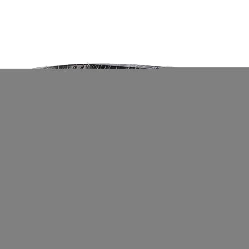FOSA Bonsai Wire Aluminum, Flexible Training Wire for Shaping Bonsai Trees Garden Horticulture Black 4.0mm 500g - size: 4.0mm
