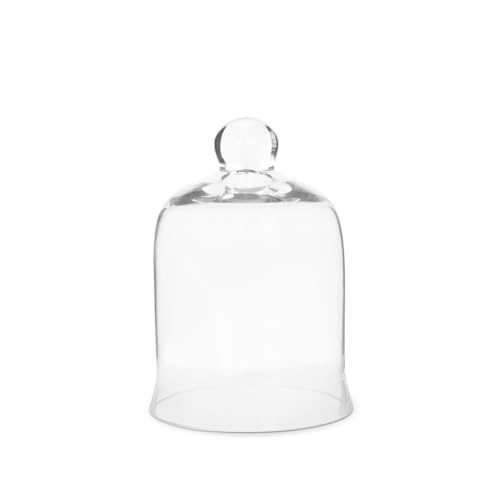 Glass Cloche Bell Jar - Plant Terrarium - Centerpiece Dome Display (7.5" x 5")