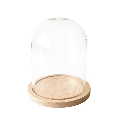 Glass Cloche Bell Jar Display Dome, Natural Wood Color, 6"x7" - color: Natural Wood Color