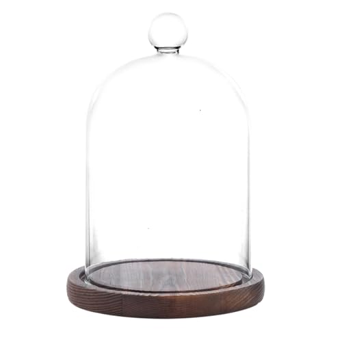Glass Cloche Dome Bell Jar Display Case with Small Ball Top and Wooden Base for Plant,Collectibles (Small:3.5 * 4.3 inches) - size: Small:3.5*4.3 inches