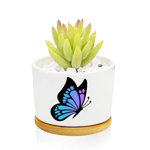 1Pcs Butterfly Planter Pots with Drainage and Tray, Ceramic Pot 3 Inch - style: Butterfly