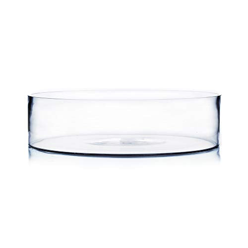 WGV Cylinder Vase, Open Width 15", Height 4", Clear Flat Pan Style Container, Planter Terrarium, Floral Centerpiece for Wedding Party Event, Home Office Decor, 1 Piece - size: 15"x4"H