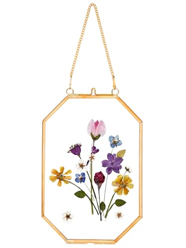 REDHUGO Pressed Flower Frames, Glass Floating Frames for Display Dried Plant Specimen Picture, Hanging Brass Photo Frame with Chain, Double Clear Glass, Vintage Wall Decor, Octagon, Gold, 4x6 Inches - color: Gold, size: 4 X 6 inches