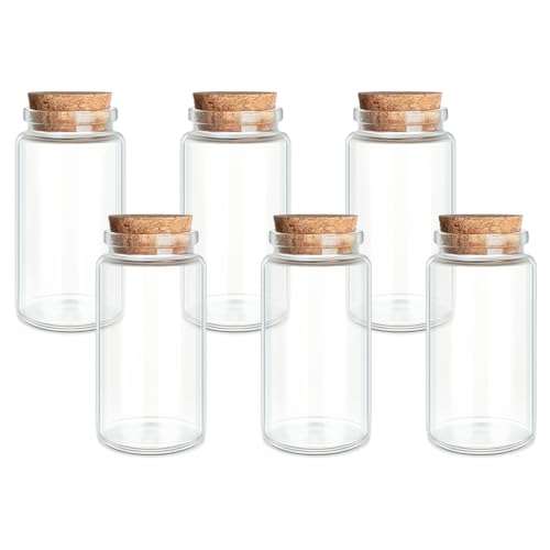 JIUYUE 6-Pack 3.38 oz (100ml) Small Glass Bottles with Cork Stoppers - color: 6pcs