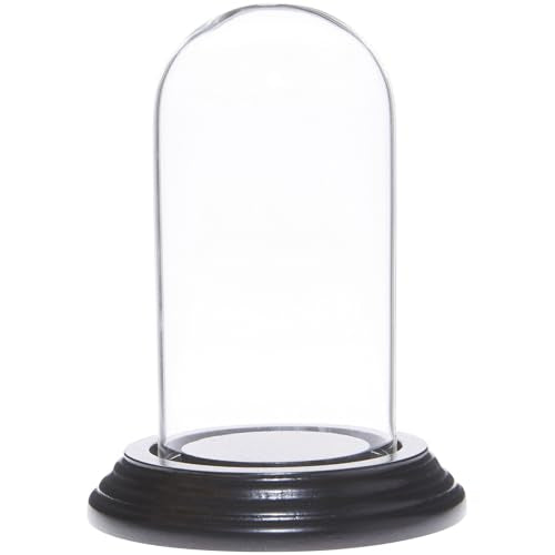 Plymor 2" x 4" Mini Glass Display Dome Cloche (Black Wood Veneer Base) - color: Black Wood Veneer Base