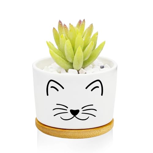 Cat Succulent Pots for Window Garden Cat Gifts for Women 3 Inch - style: Cat Black
