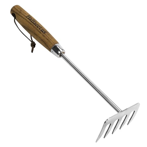 Haliaeetus Small Rakes, 12.6'' Mini Rake for Raking Debris in Flower Beds | 5 Tines Small Hand Rake Make Loosening Soil A Snap, Stainless Steel Garden Hand Rake with Comfortable Wood Handle for Weeding