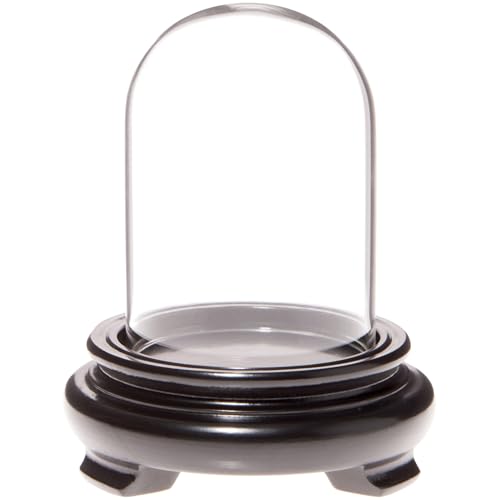 Plymor 2" x 3" Mini Glass Display Dome Cloche (Black Wood Veneer Footed Base) - color: Black Wood Veneer Base