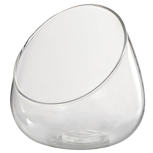 HOMSFOU Slant Cut Glass Terrarium Bowl 4.72 Inch Clear Micro Landscape Container for Succulent and Air Plants Home Office Wedding Decor